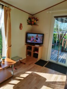 Sunlit living room corner with a small TV on a wooden stand, a vase of flowers on a shelf, beige walls, and orange curtains by a glass door to the garden.