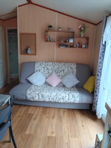 Living room with a grey sofa bed against light wooden wall panels, three pastel cushions, and wall-mounted shelves with books, small plants, and decorative items.